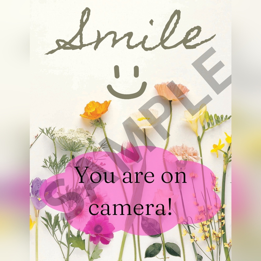 "Smile You're On Camera" and "Do Not Enter" Posters